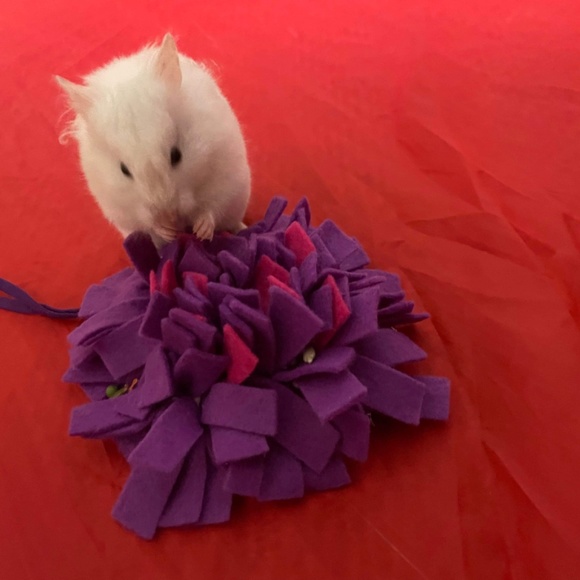 Snuffle Mats for small pets - Picture 8 of 10